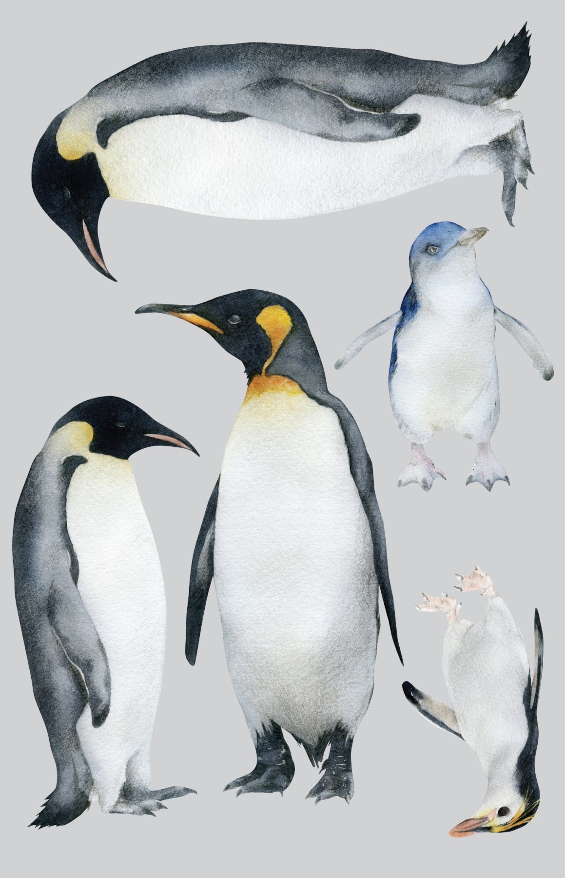 02-PenguinsGuide_10%