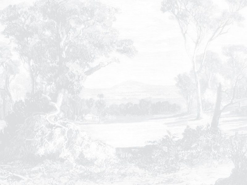 Australian Farm Land - Light Grey | WALLPAPER - Grafico Group