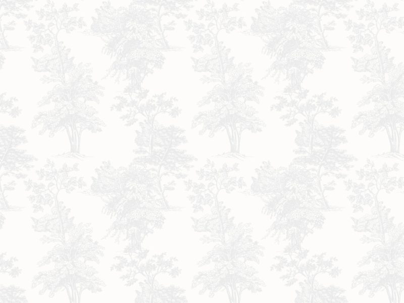 French Toile - Light Grey | WALLPAPER - Grafico Group