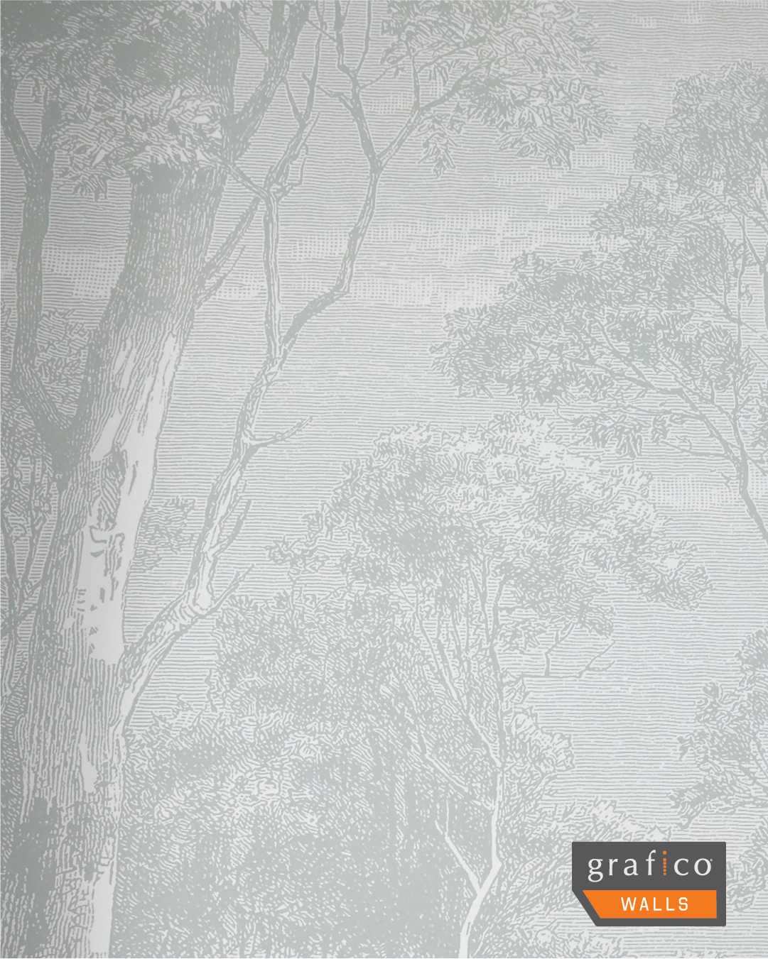 Giant Eucalypt - Light Green Wallpaper | Grafico Melbourne