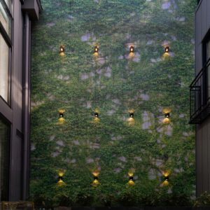 IvyCourtYard5