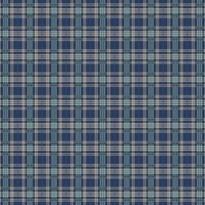 Plaid - Blue & Aqua-04