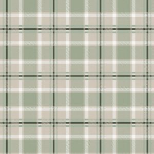 Plaid - Bone & Sage Green-04