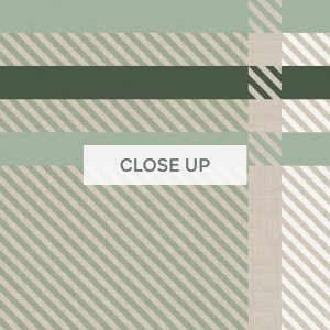 Plaid - Bone & Sage Green-05