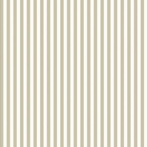 Vertical-Stripe-60mm---Olive-01