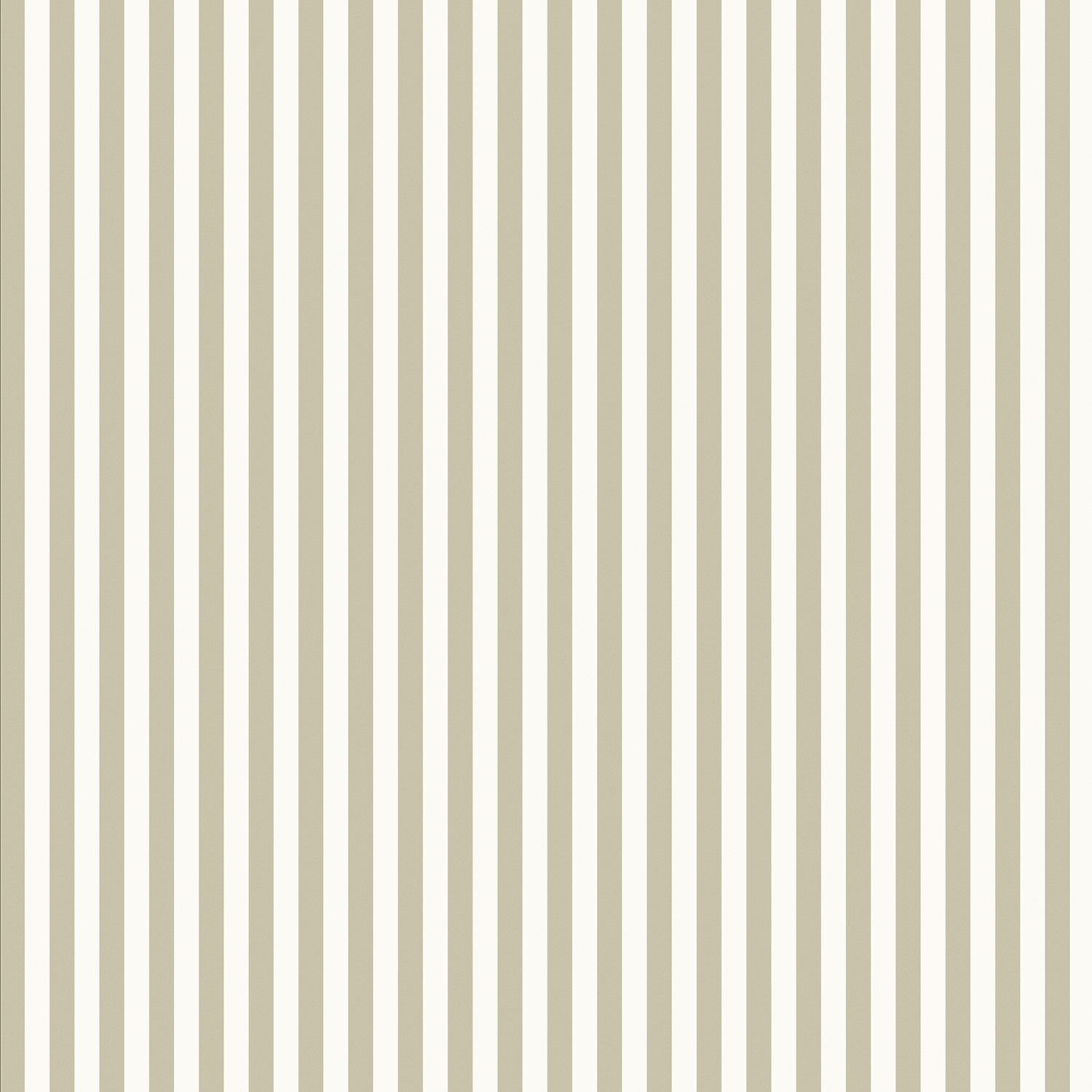 Vertical-Stripe-60mm---Olive-01