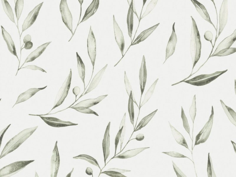 Whimsical Olive Leaf | WALLPAPER - Grafico Group